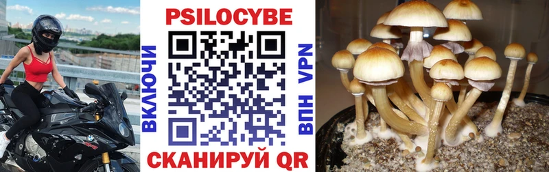мориарти Telegram  Удомля  Псилоцибиновые грибы прущие грибы 